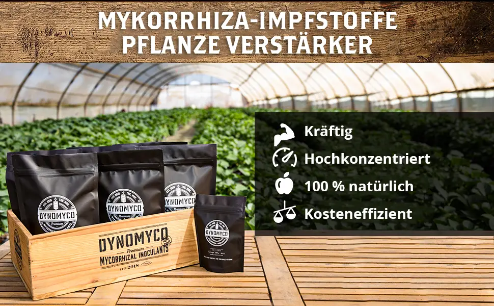 DYNOMYCO® Mykorrhiza